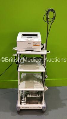 Olympus TC-C1 Clinical Trolley with Sony UP-DR80MD Digital Colour Printer (Powers Up)