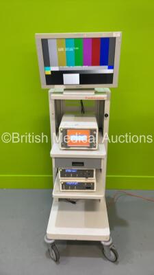 Smith and Nephew Stack Trolley with Sony Monitor, Smith and Nephew 660HD Image Management System, Smith and Nephew 500XL Xenon Light Source and Smith and Nephew 650P High Definition Camera System (Powers Up) *S/N 3009369 / 660HD4790 / 0937 / 8854318*