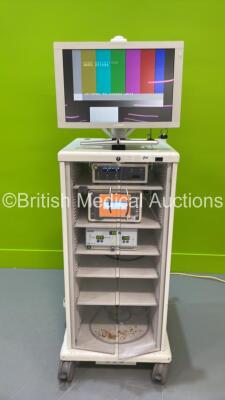 Stack System with Sony Monitor, Smith and Nephew 660HD Image Management System, Smith and Nephew 560P High Definition Camera Control Unit and High Tec KS Insufflator (Powers Up with 110v Power Supply - Power Supply Not Included)