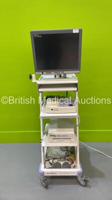 Olympus TC-EU Ultrasound Trolley with Olympus OEV191 Monitor, Olympus EndoEcho EU-C2000 Compact Endoscopic Ultrasound Center with Footswitch and Olympus OEP-4 HDTV Printer (Powers Up)