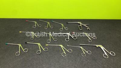 13 x Forcep Instruments Including Karl Storz and R.Wolf Forceps