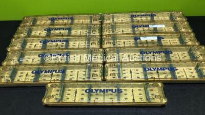 11 x Olympus Rigid Scope Cases - 2