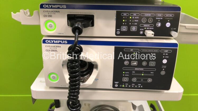 Olympus Stack System Including Olympus OEV262H HD LCD Monitor,Olympus ...