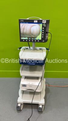 Karl Storz Tele pack X200450 20 Endoscopic Imaging System *Version - 4.11 with Telecam 20212030 PAL Camera Head on Stand (Powers Up) *S/N SW3821 *