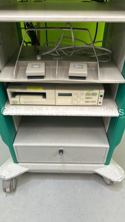 Scale Rack Linvatech Linvatec Stack System with Linvatec 8180A Customised Digital Camera ...